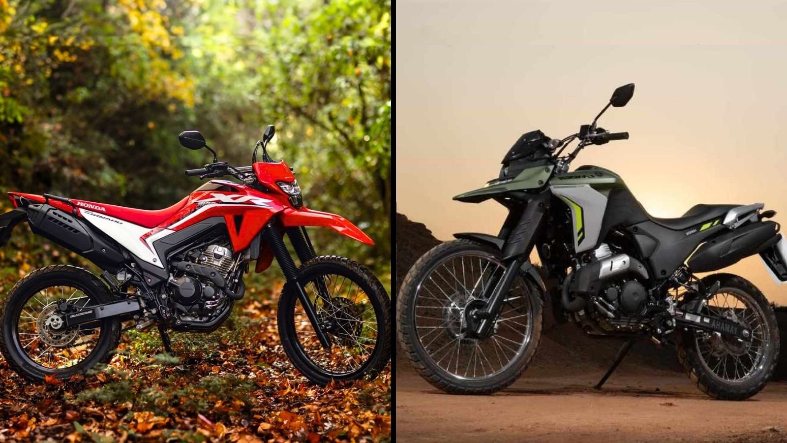 Honda XR300L Tornado vs Yamaha XTZ 250 Lander ¿cuál On/Off es mejor?